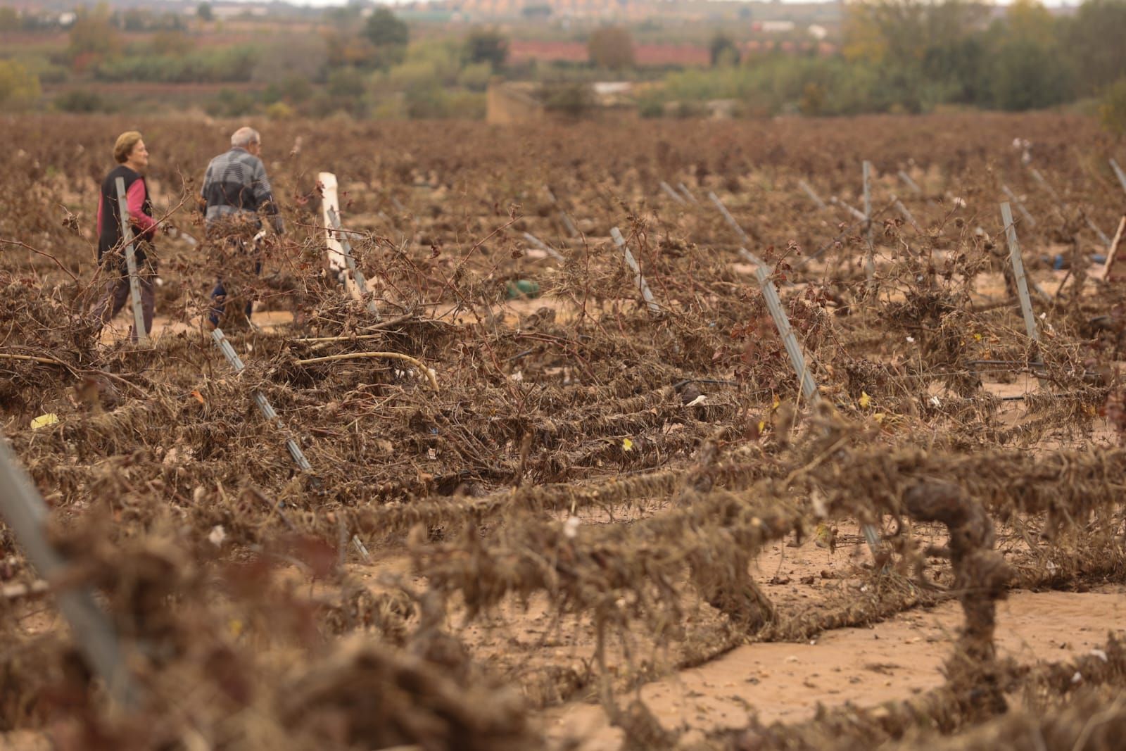 Utiel, una semana después de la DANA
