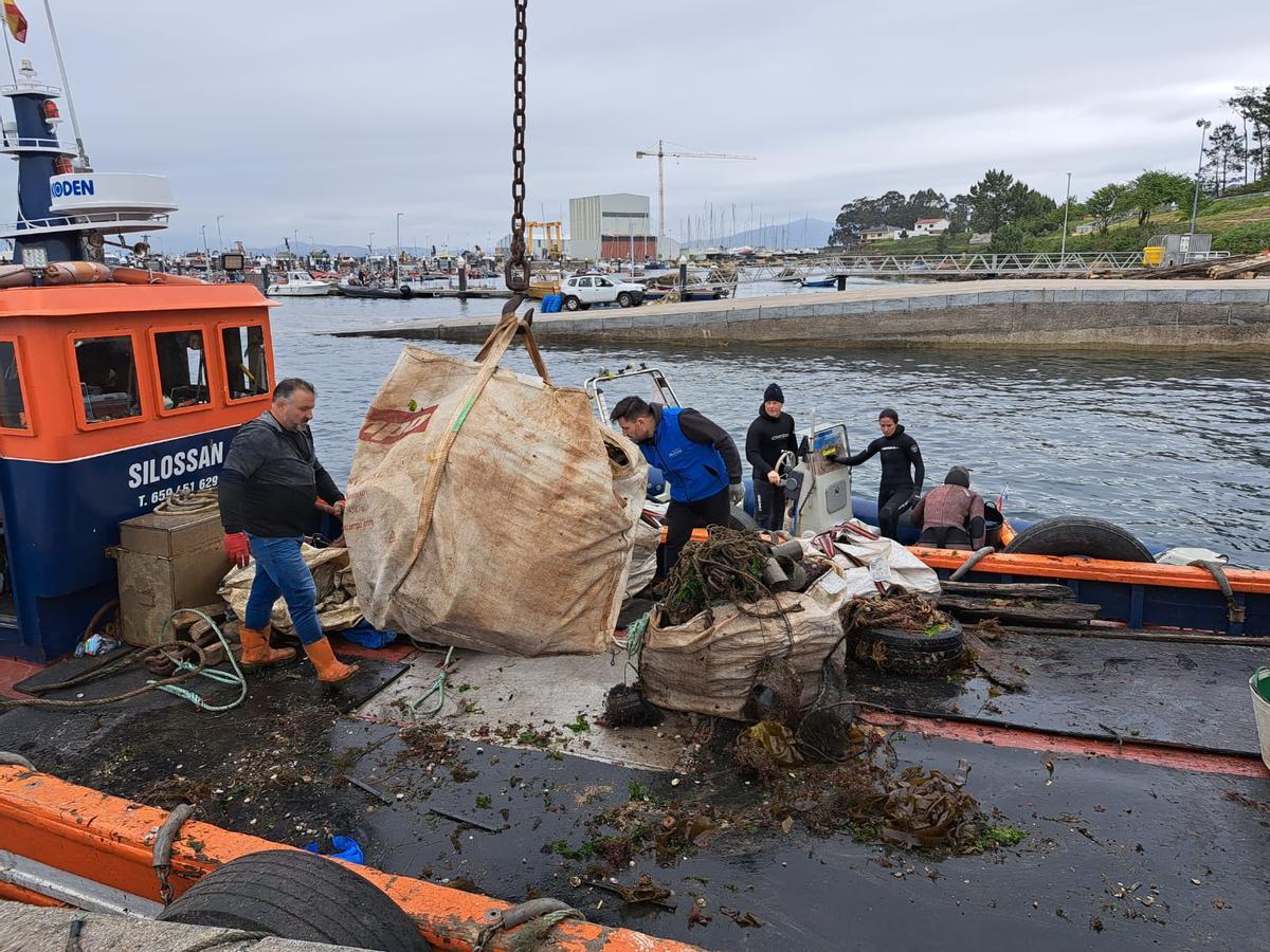 Participantes en la limpieza submarina de los fondos del islote Areoso. Participantes en la limpieza submarina de los fondos del islote Areoso.