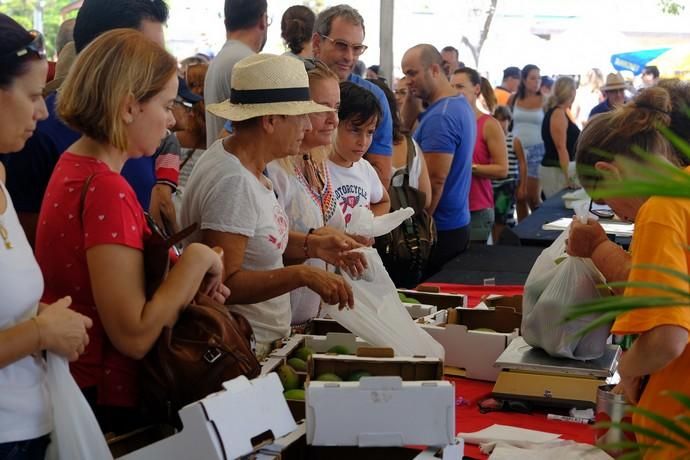 Mogán. Feria del Mango y Aguacate  | 01/09/2019 | Fotógrafo: José Carlos Guerra