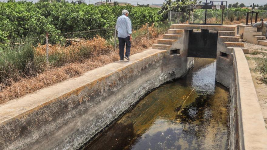 Por la Acequia Mayor de Callosa apenas circulaba ayer un palmo de agua, insuficiente para atender las necesidades de los agricultores.