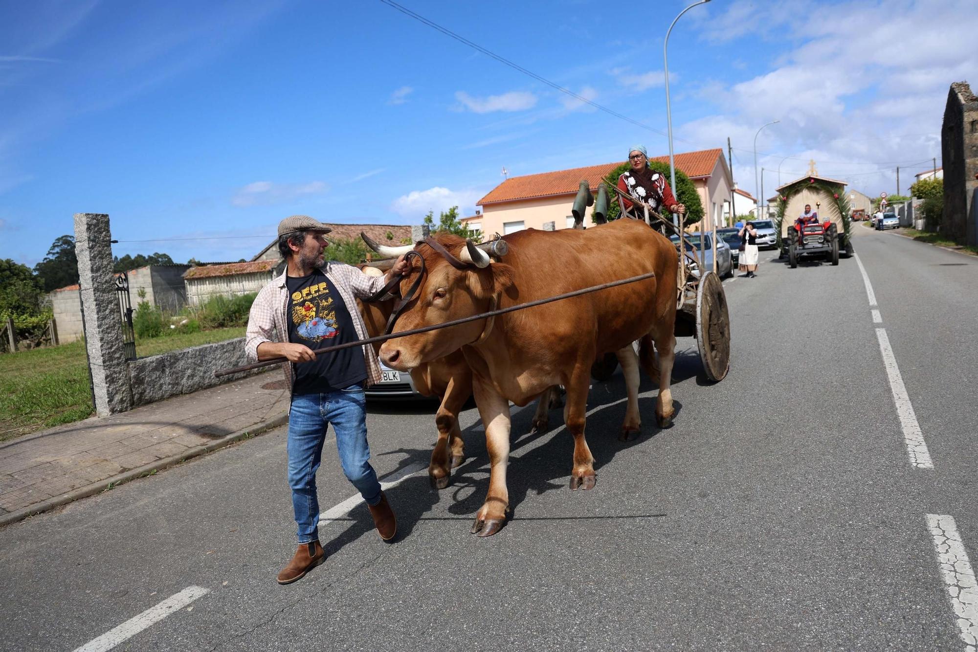 Asistentes a la Festa do Labrego de Vilariño (Cambados).