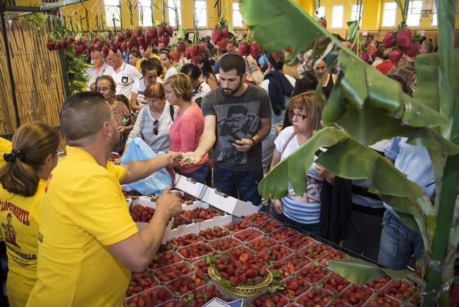 Fiesta de la Freasa en Valsequillo con concurso ...