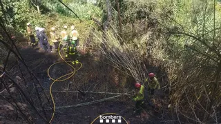 Els Bombers donen per extingit un incendi a Esparreguera que ha cremat una zona de canyes