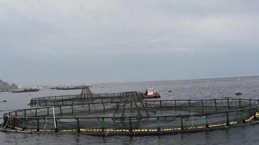 La nueva instalación ubicada en San Pedro del Pinatar.