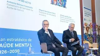 El Plan Estratéxico de Saúde Mental de Galicia implantará la hospitalización a domicilio para pacientes infantojuveniles