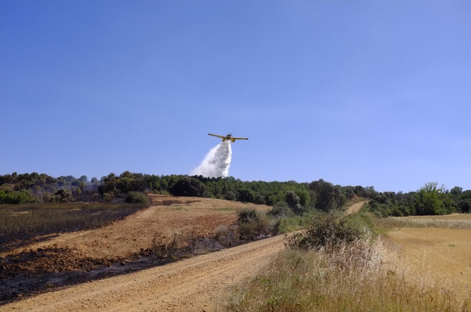 GALERÍA | El incendio forestal de Manganeses de la Polvorosa en imágenes