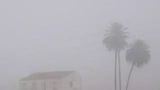 Tráfico en Alicante hoy: niebla en la A-31, retenciones en la A-70 y varios accidentes complican la mañana