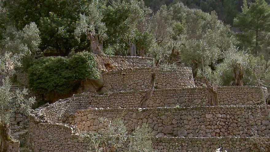 Una ruta senderista en Mallorca.