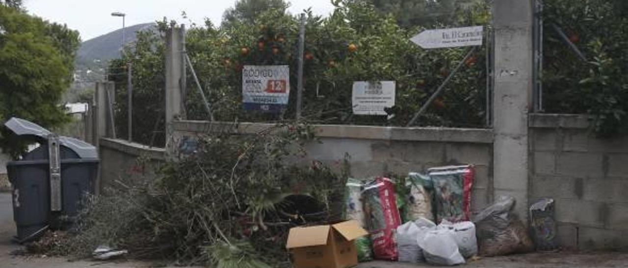 Restos de poda y otras bolsas junto a un contenedor.