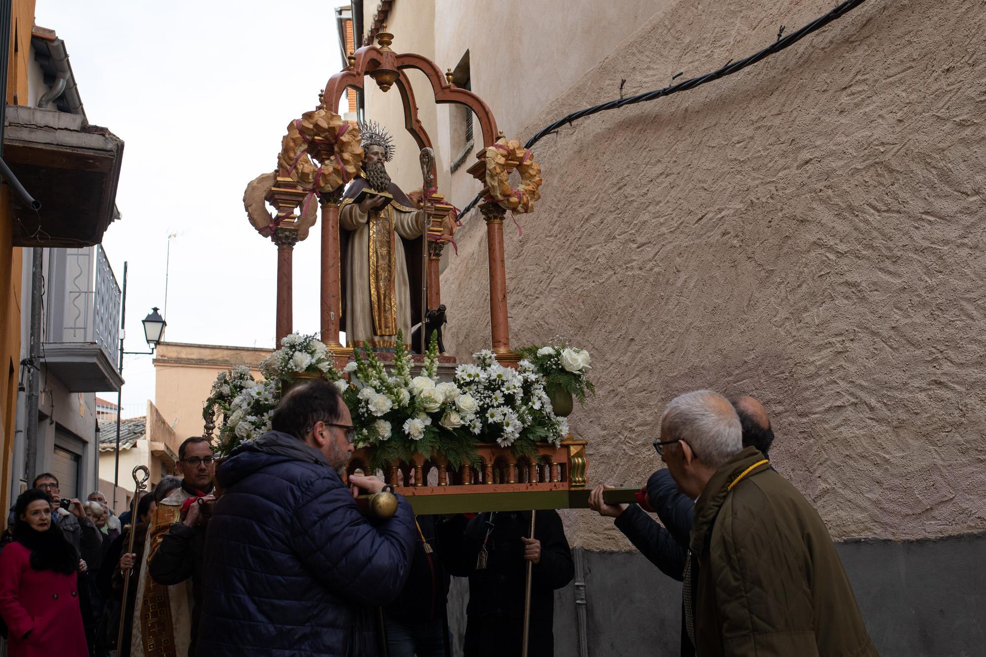 Los animales reciben la bendición por San Antón en Zamora