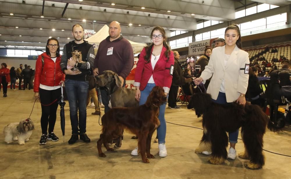 La Exposición Canina de Vigo cierra una nueva edición con grandes resultados.