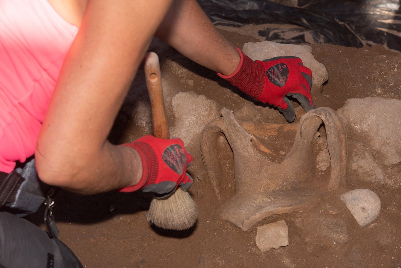 Retoman los trabajos en el yacimiento arqueológico Lobos I