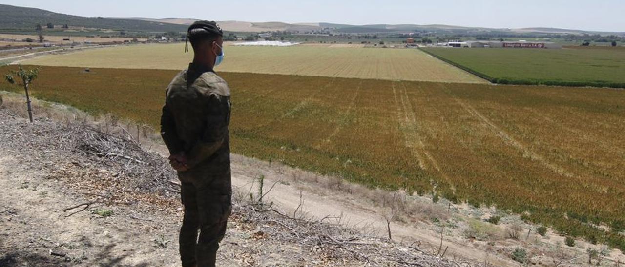 Vista de los terrenos de La Rinconada, donde se instalará la base logística del Ejército de Tierra.