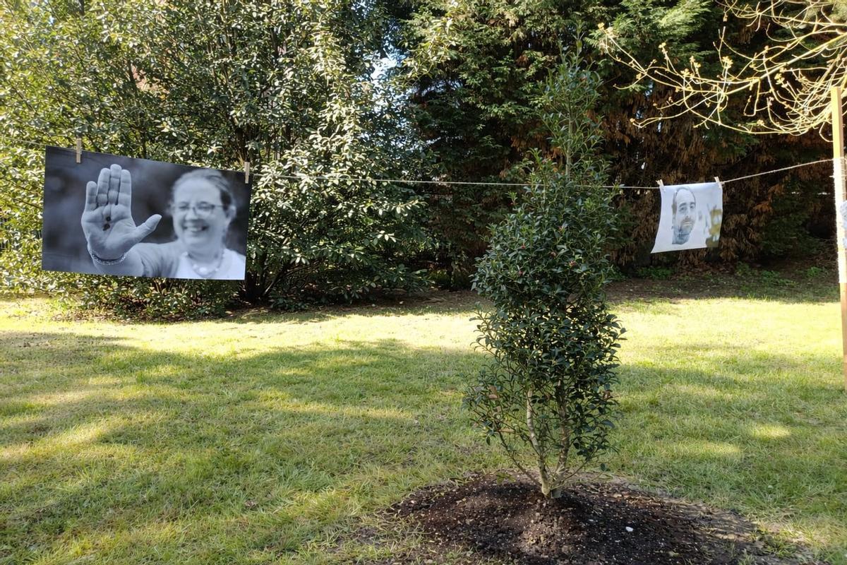 El árbol que se plantó durante el homenaje.