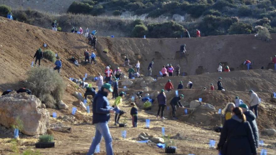 Alertan del abandono de la reforestación del cerro de los Moros