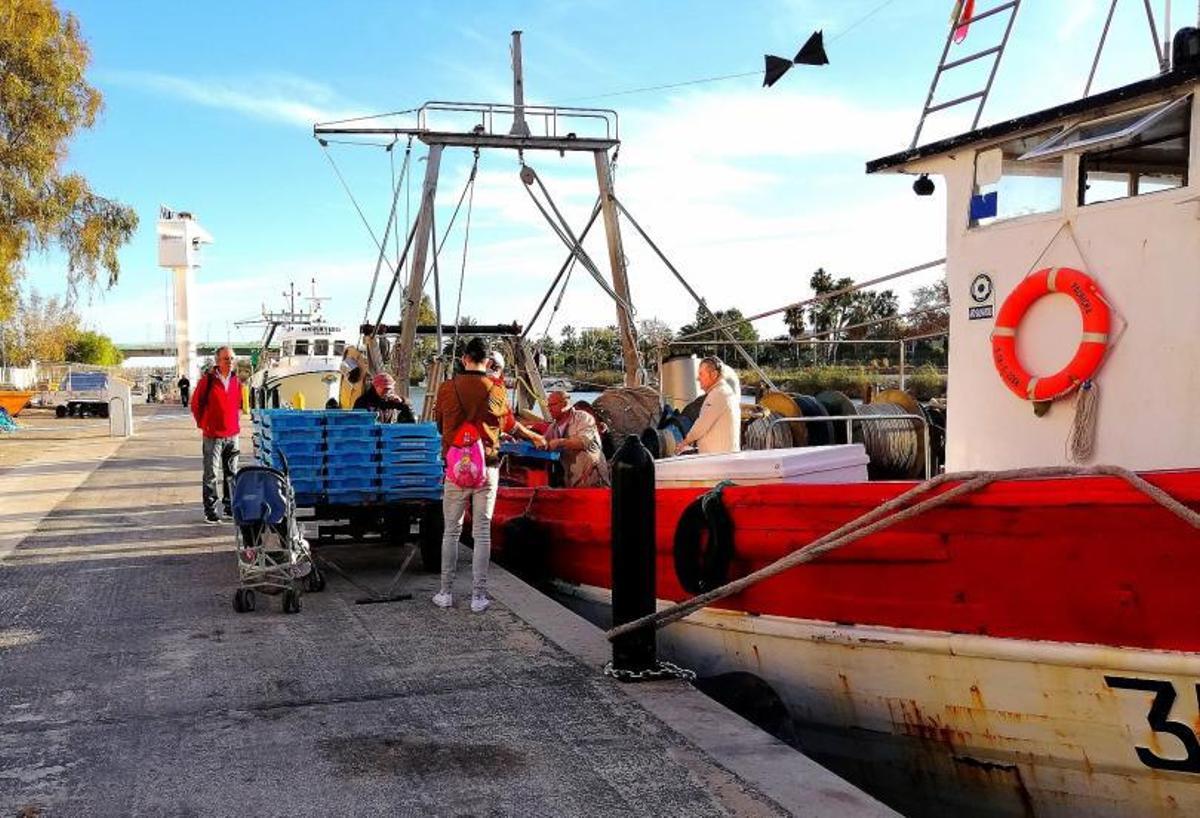 Pescadores de Cullera descargan al llegar a puerto en una imagen de archivo. | LEVANTE-EMV