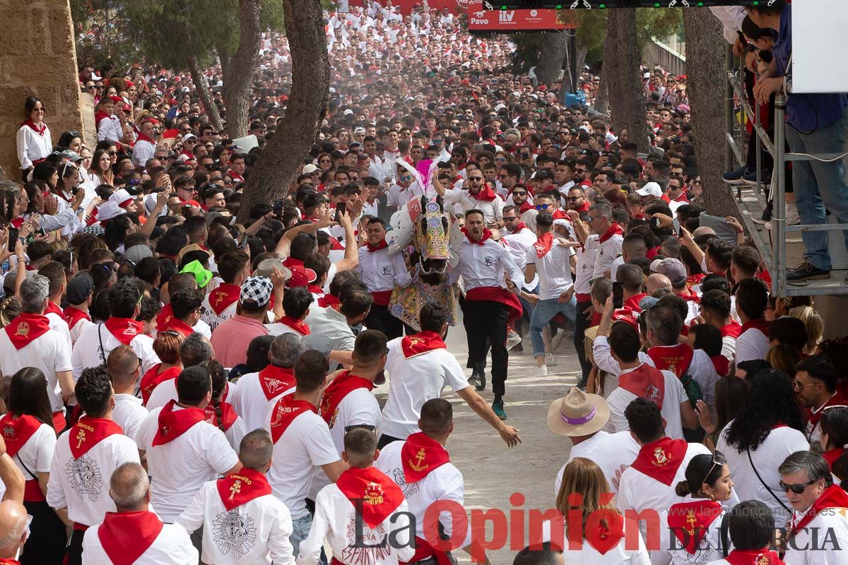 Así ha sido la carrera de los Caballos del Vino en Caravaca