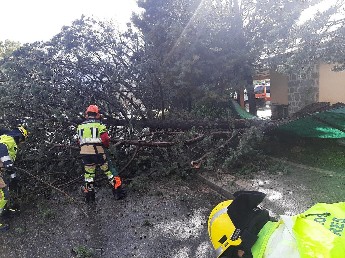 Atropellan a una madre y su hija, cae un árbol sobre un coche y graniza, en Plasencia.