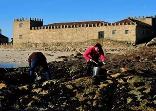 Sálvora, un paraíso por conocer