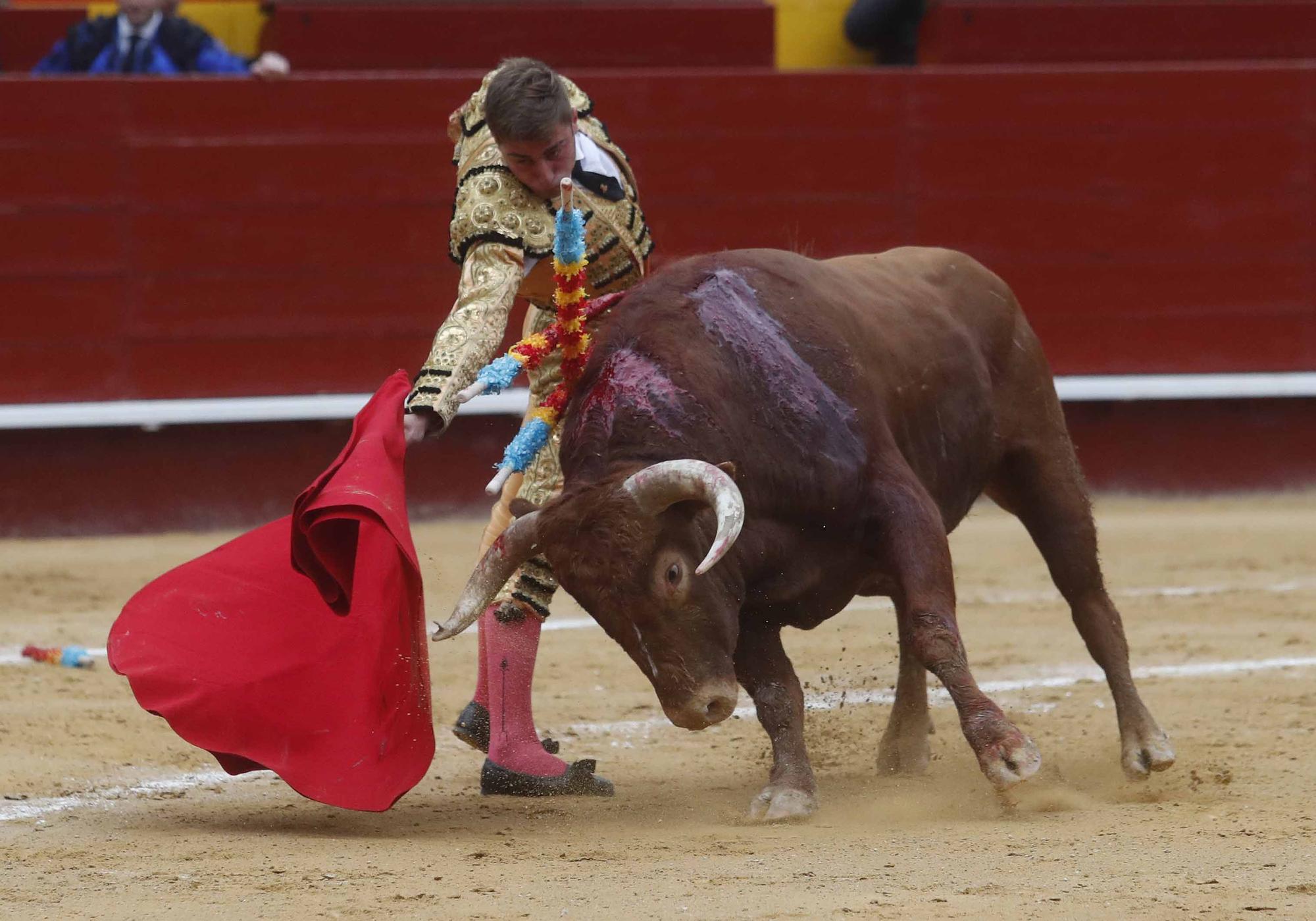 "El Niño de las Monjas", primera puerta grande de Fallas