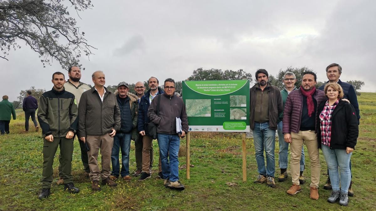 Proyecto a tres bandas. Presentación del proyecto, este mes de noviembre, en La Vera.