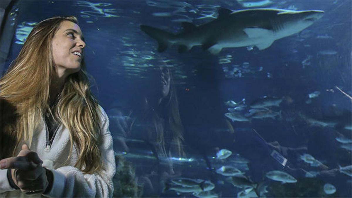 Ona Carbonell... ¡Se baña con tiburones!