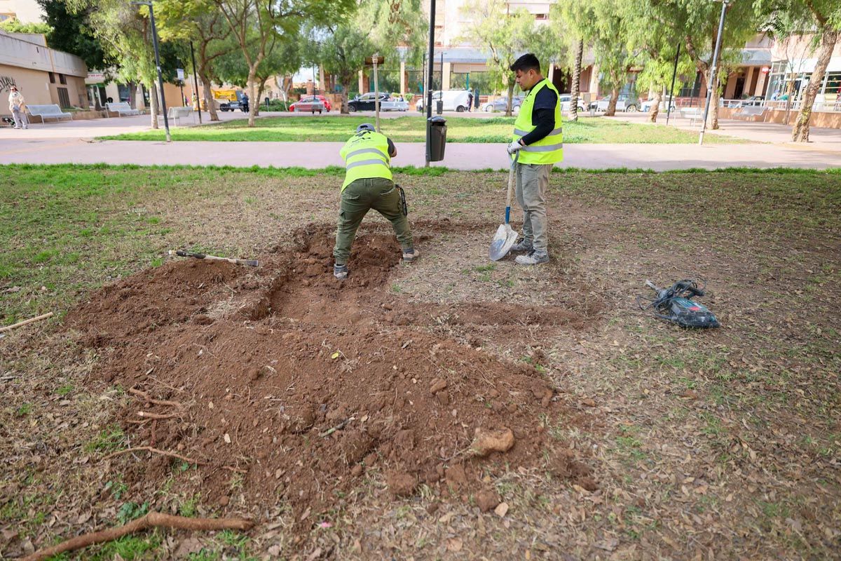 Galería: Todas las imagenes del traslado de la pagesa de Ibzia a su nueva ubicación