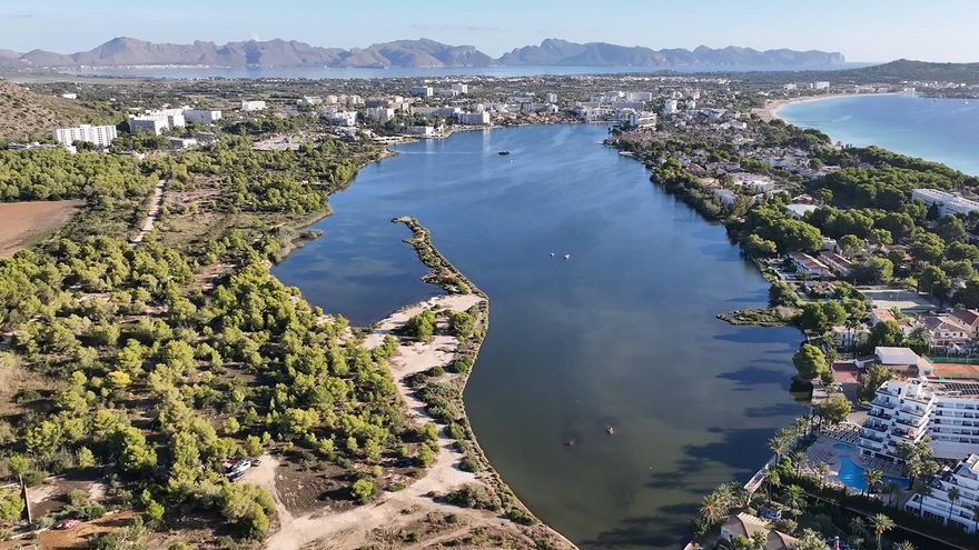 VÍDEO | Los humedales de Maristany y Estany des Ponts de Alcúdia pasan de ser un vertedero ilegal a un corredor natural