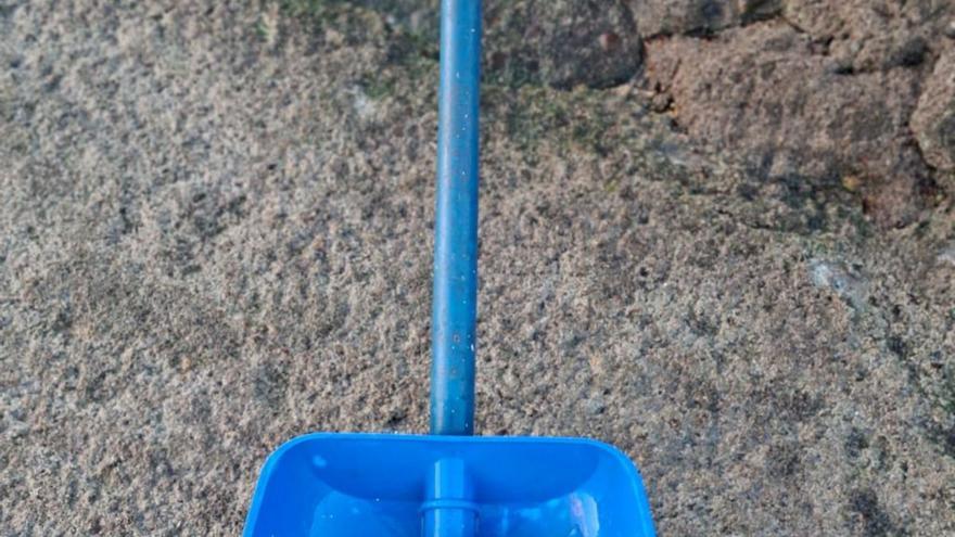 Estos extraños seres que llegan del mar