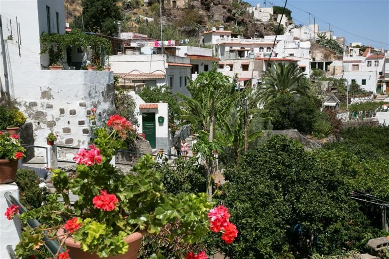 Dentro verano: Valle de Agaete