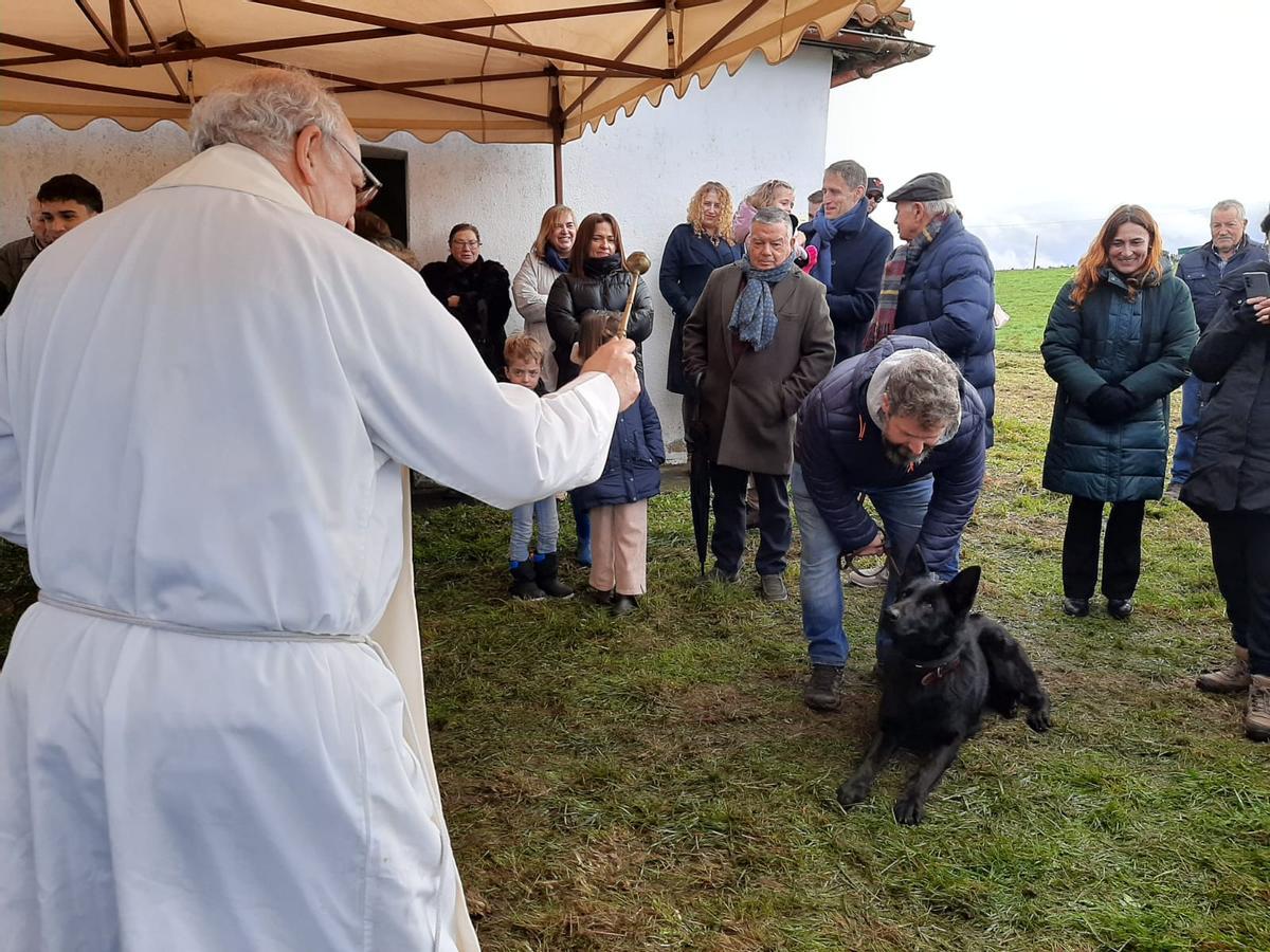 Robledo, en Llanera, bendice a sus mascotas por San Antón