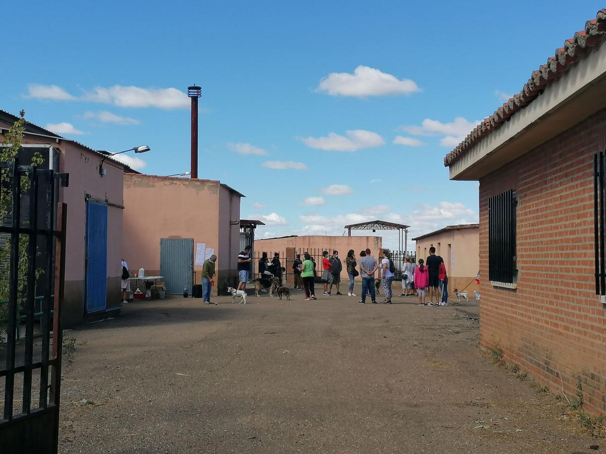 REFUGIO ANIMALES ABANDONADOS TORO