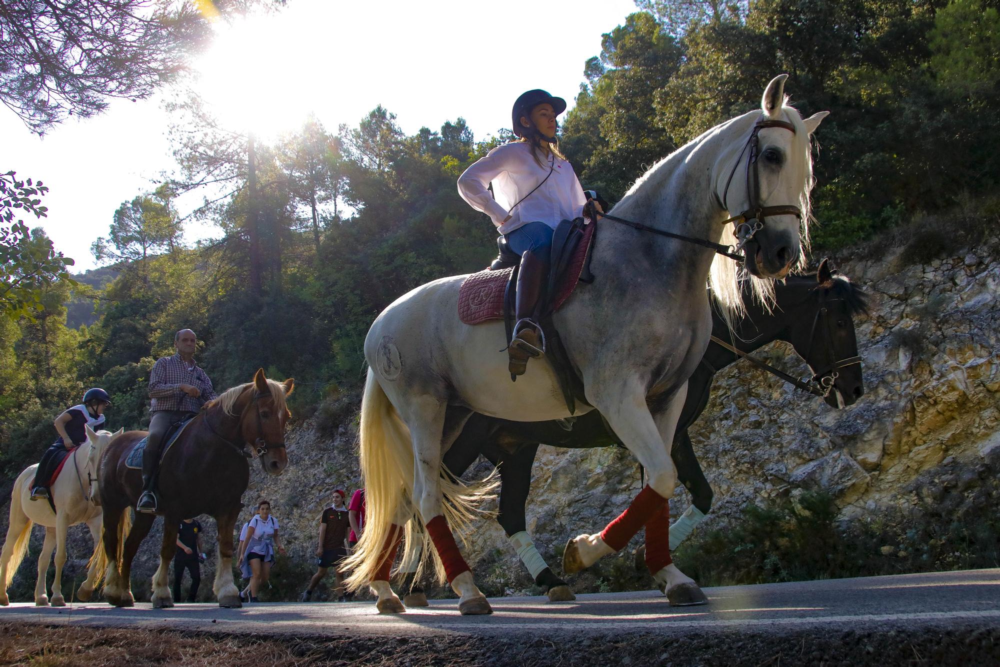 Alcoy vuelve a celebrar tres años después la romería de la Font Roja