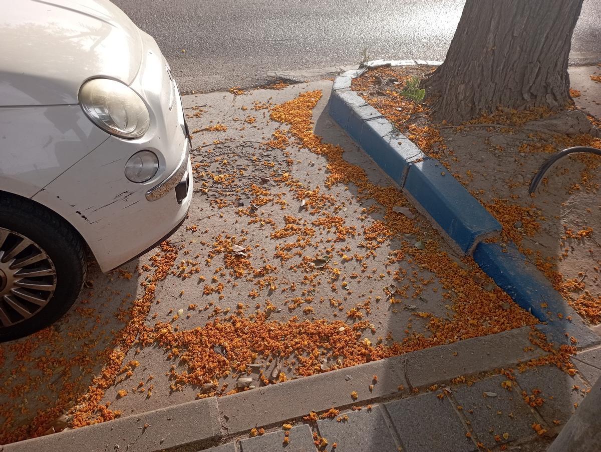 Flores de tipuana en la calle José Calderón, esta semana.