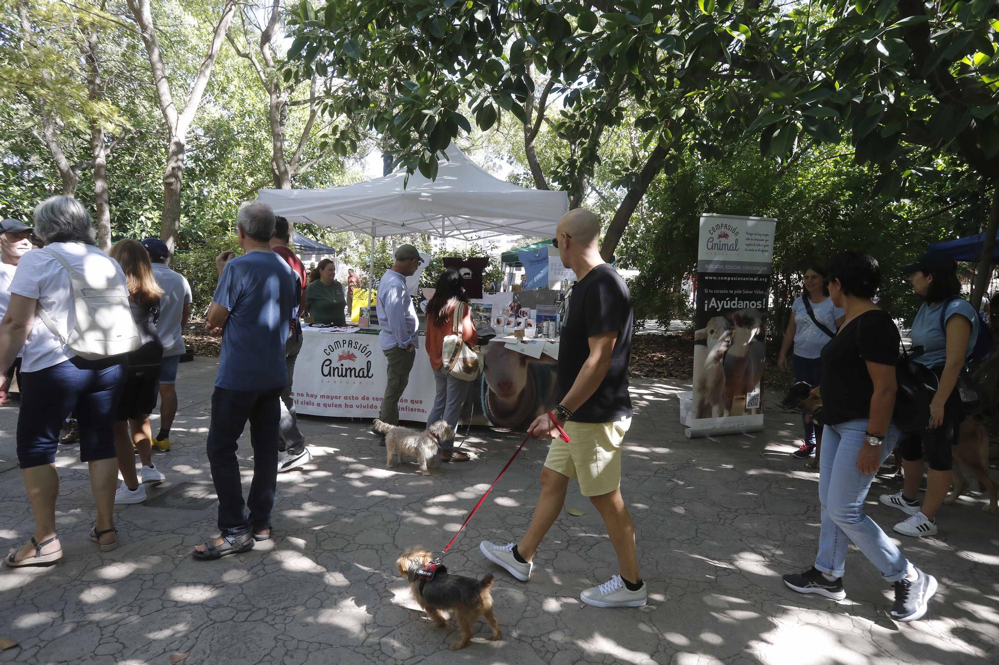 La Feria Animalista de València, en imágenes