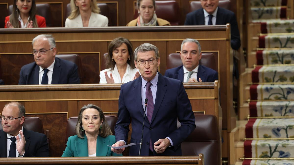 El presidente del PP, Alberto Núñez Feijóo, interviene durante una sesión de control al Gobierno.