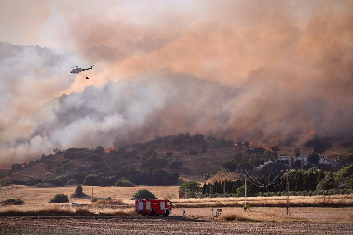Incendio forestal junto al Castillo de la Albaida
