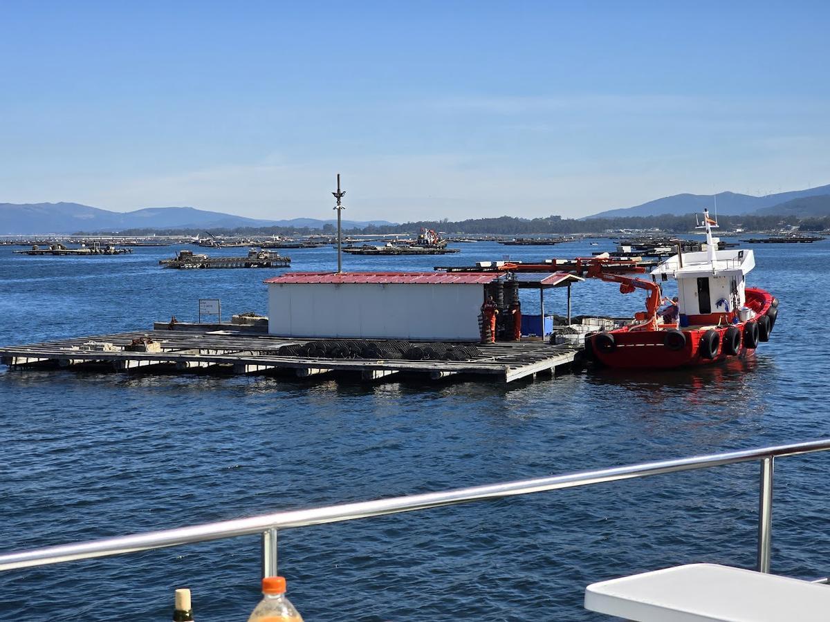 Una de las bateas de la ría empleadas en la producción de juveniles de almeja para su siembra en bancos marisqueros.