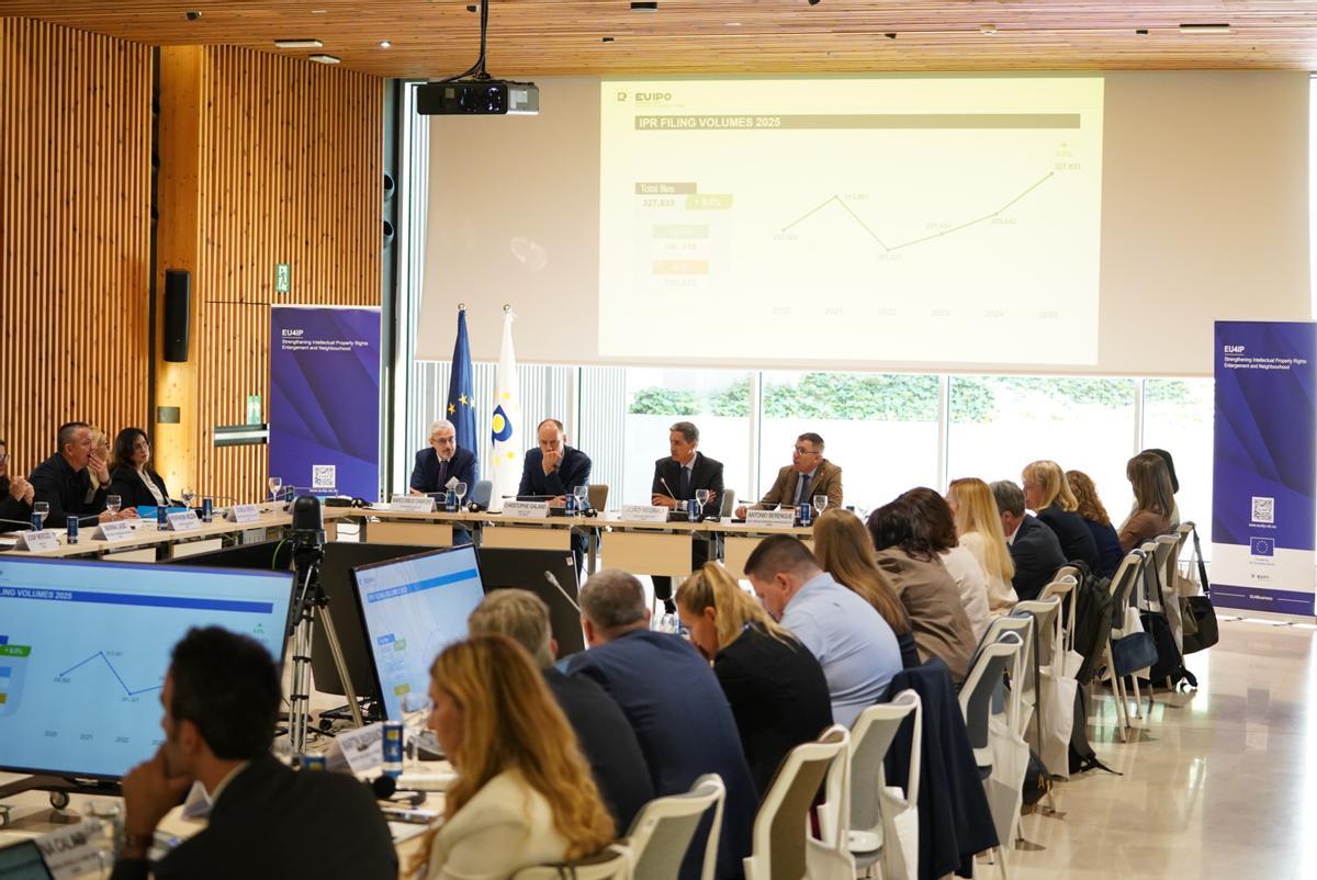 El proyecto busca acelerar la integración gradual de los socios participantes en el marco europeo de propiedad intelectual de cara a una futura adhesión a la UE.