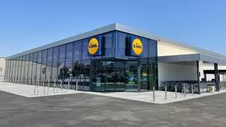 Mañana se esperan colas kilométricas en Lidl para conseguir la tumbona de aluminio XL más barata del mercado: respaldo regulable en 5 posiciones y parasol incorporado