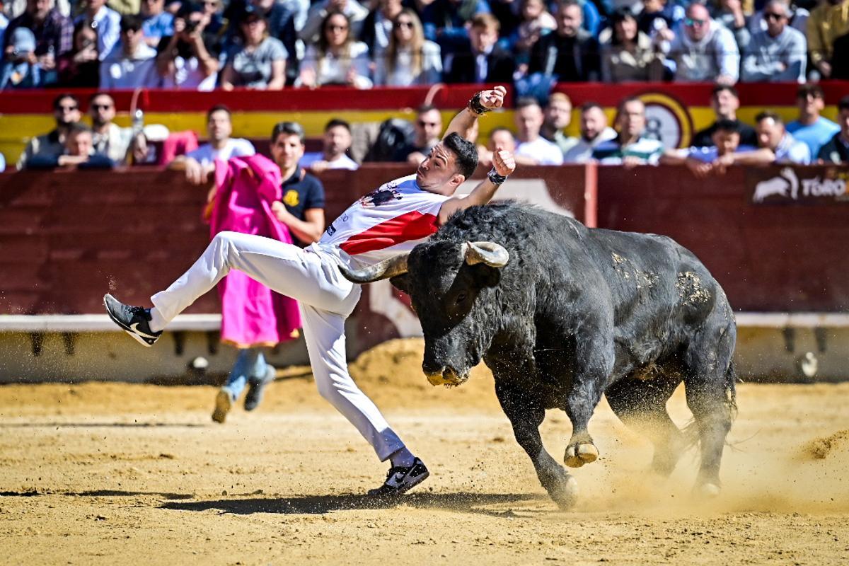 Concurso recortadores