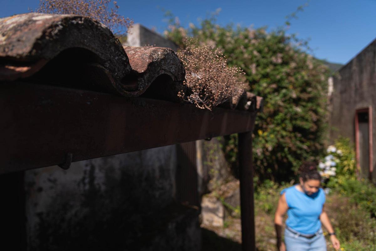 Tenerife Vaciada: Hoya de Pablos, Los Realejos