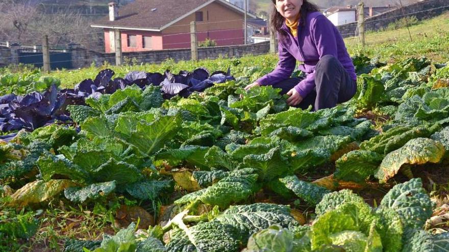 Dolores Arranz Bellón, en una parte de su huerta ecológica en Pruneda, Nava.