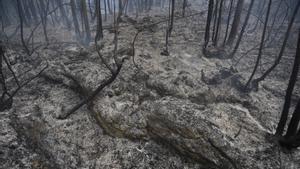 Incendio en Hazas de Cesto (Cantabria)