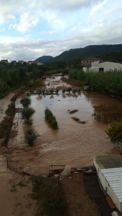 El Cardener a Callús