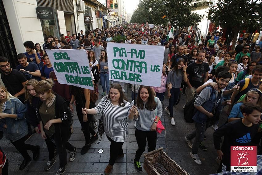 FOTOGALERÍA / Jornada de huelga estudiantil en Córdoba contra la LOMCE