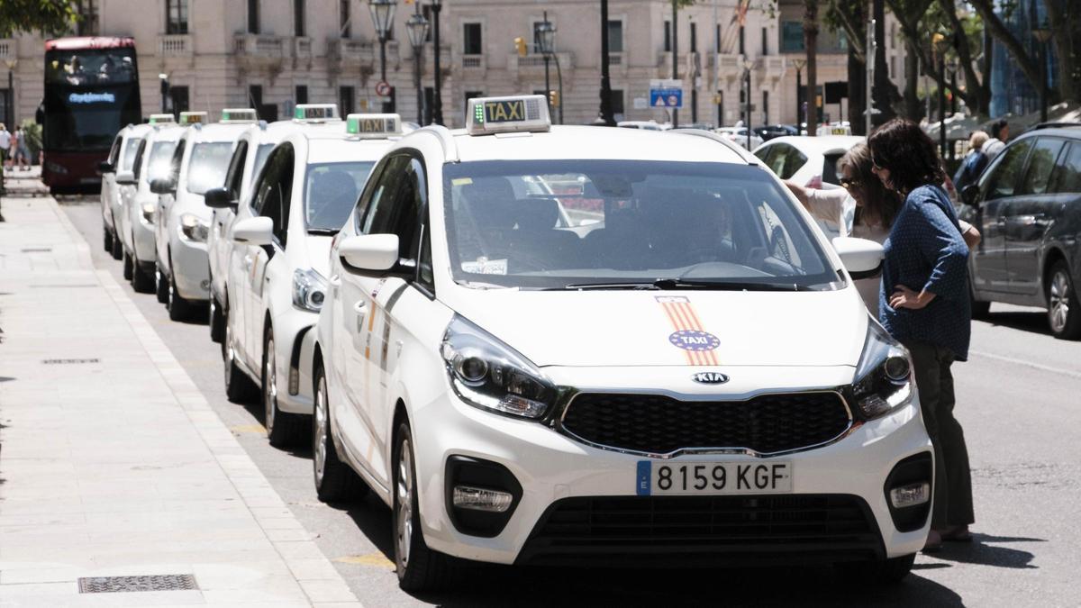 Taxis aguardan en una parada en Palma.