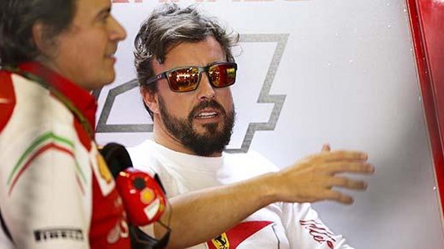 Fernando Alonso.