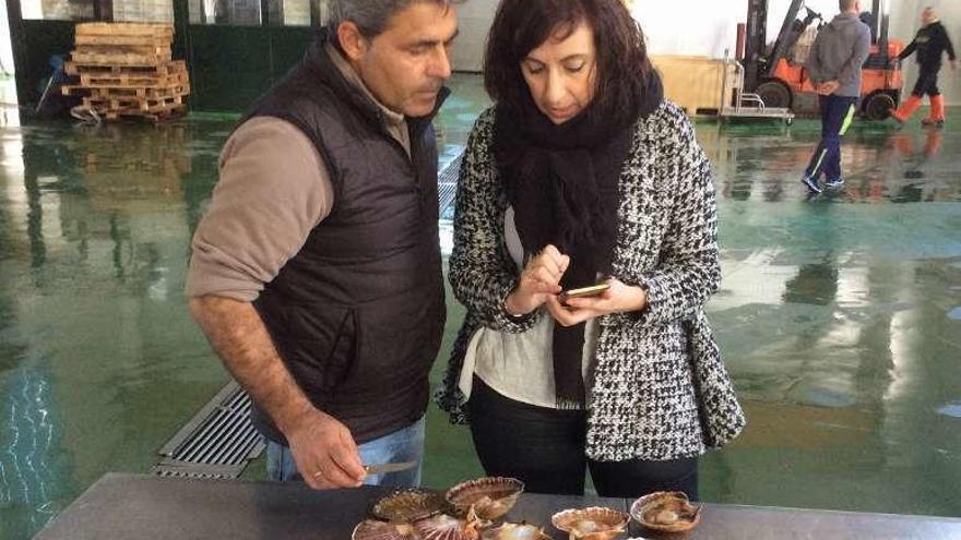 José M. Agulla y la gerente de Porto Cambados, Mar Ambroa, valoran el estado de la vieira de otra de las zonas de producción. // S.Álvarez