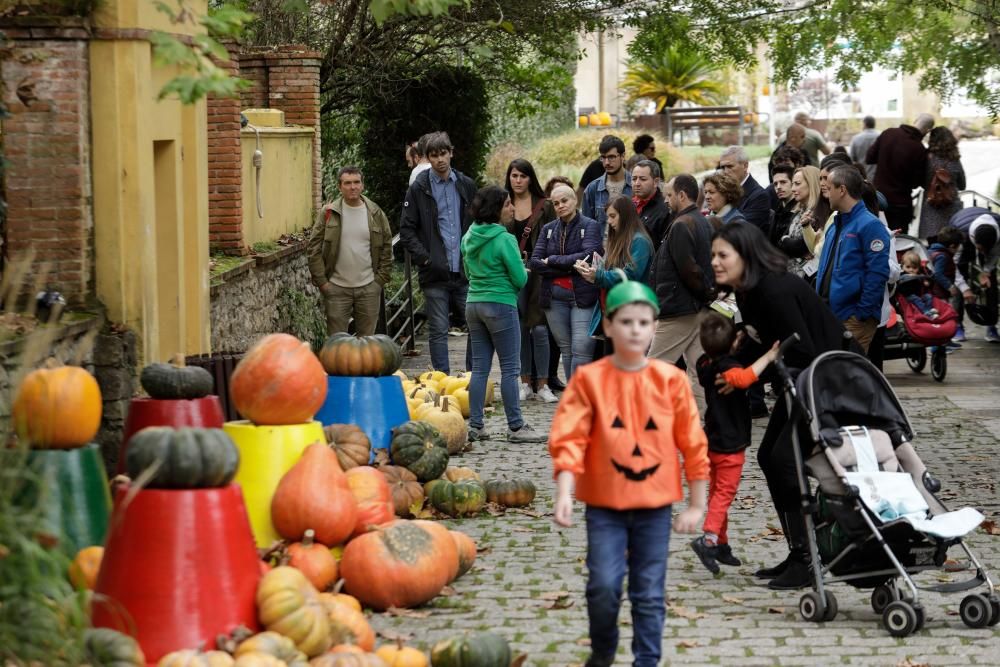 Calabazas en el Jardín Botánico de Gijón